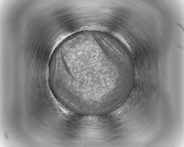 X0000093401040200711020931