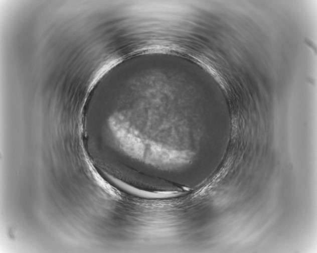 X0000093401042200711020931