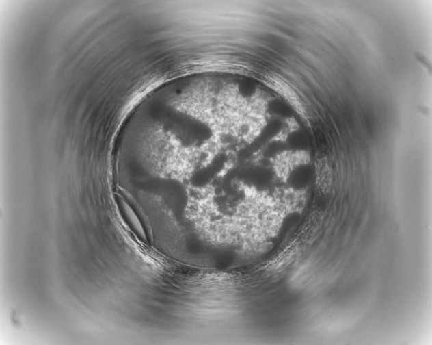 X0000093401043200711020931