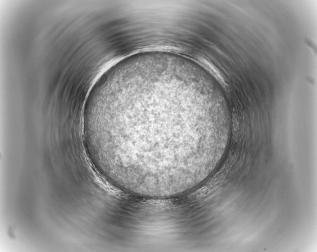 X0000093401044200711020931