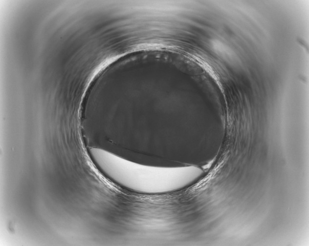 X0000093401045200711020931