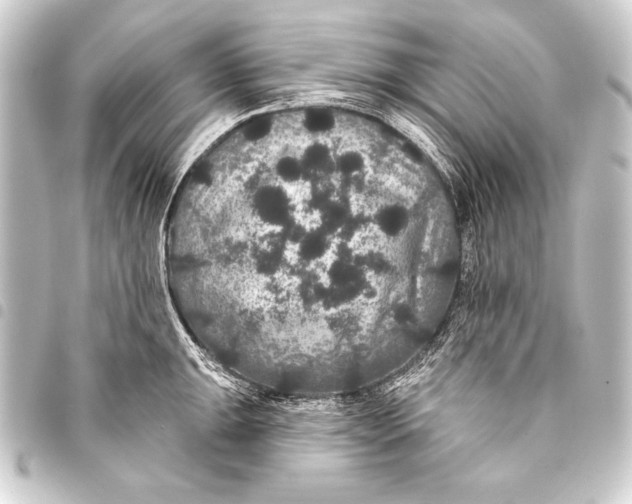 X0000093401047200711020931