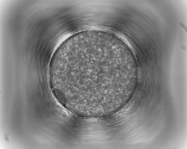 X0000093401048200711020931