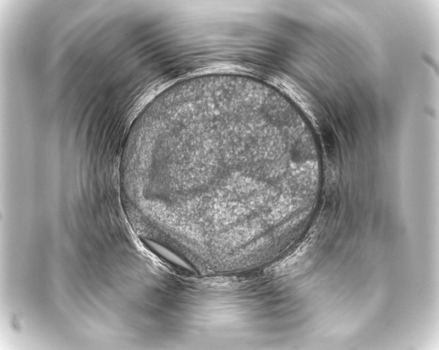 X0000093401049200711020931