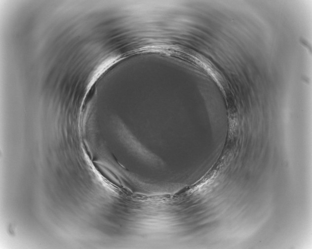 X0000093401050200711020931