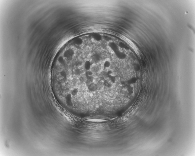 X0000093401051200711020931