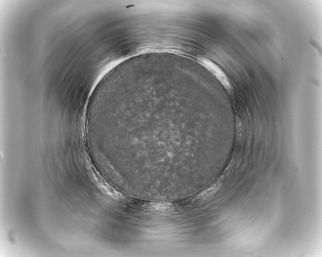 X0000093401052200711020931