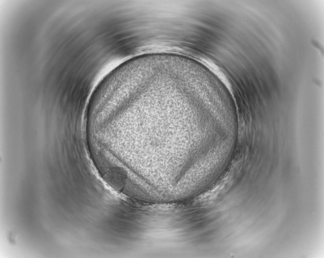 X0000093401053200711020931