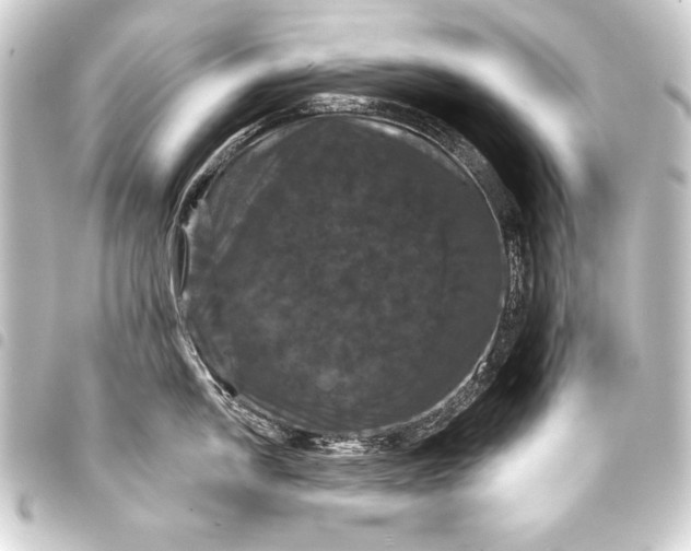 X0000093401054200711020931