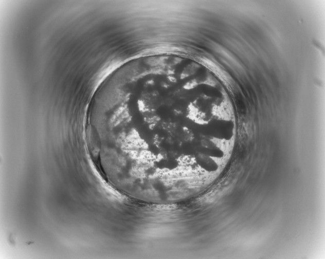 X0000093401055200711020932