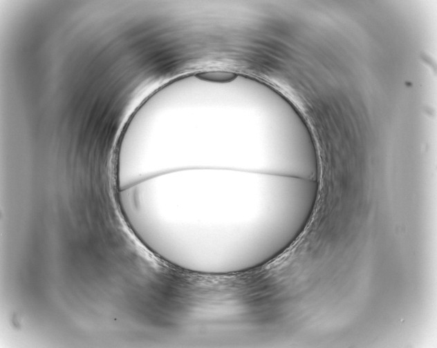 X0000093401056200711020932