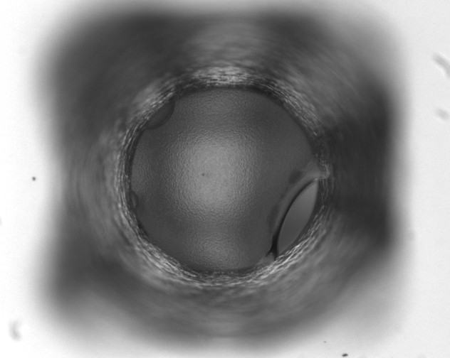 X0000093401058200711020931