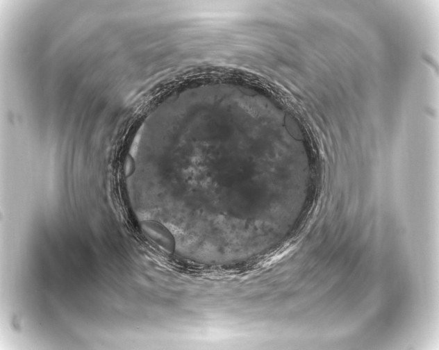 X0000093401059200711020931