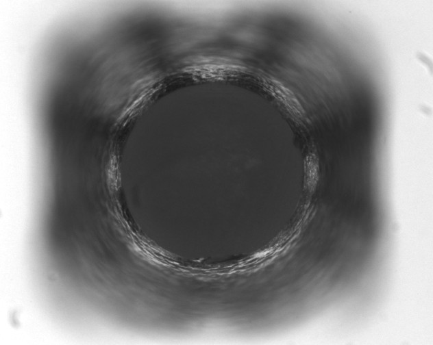 X0000093401060200711020931