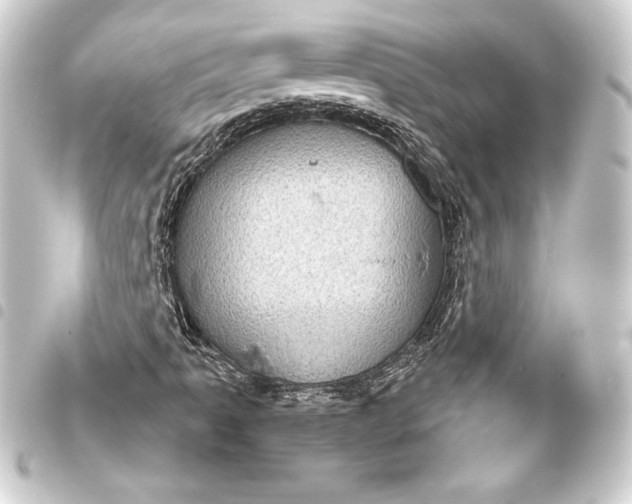 X0000093401061200711020931