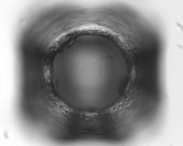 X0000093401062200711020931