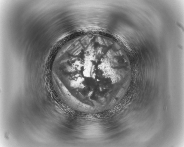 X0000093401063200711020931