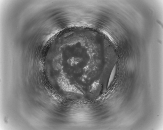 X0000093401064200711020931