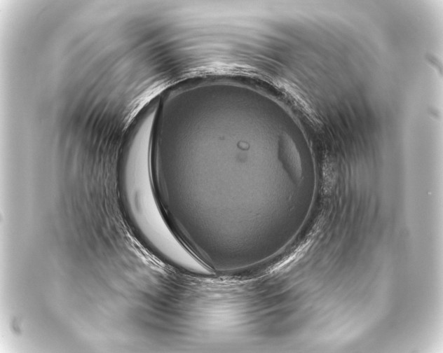 X0000093401065200711020931