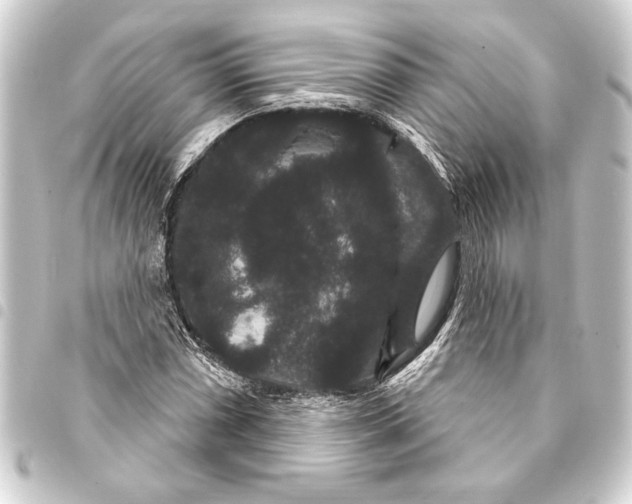 X0000093401066200711020931