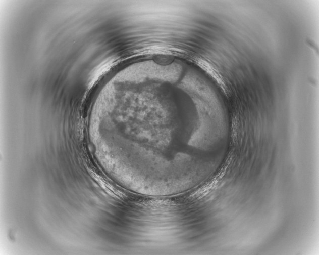 X0000093401067200711020931