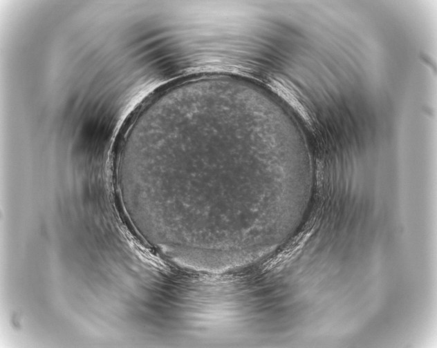 X0000093401068200711020931