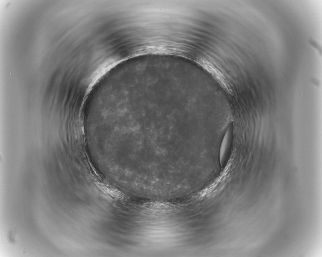 X0000093401070200711020931