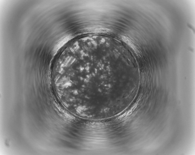 X0000093401071200711020931