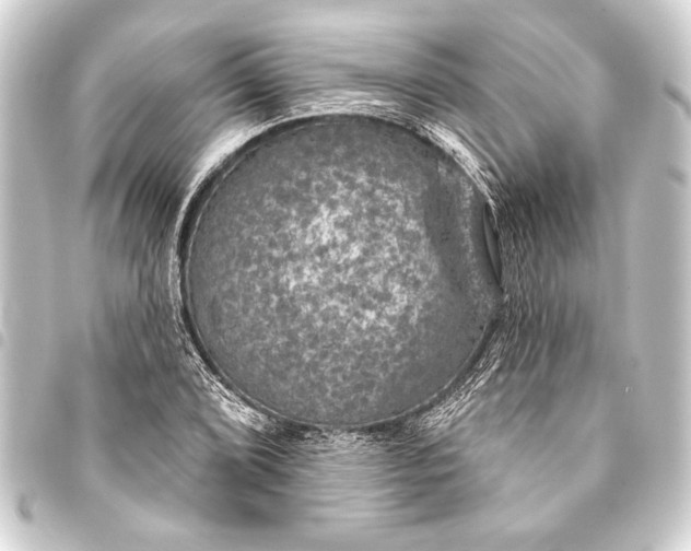 X0000093401072200711020931