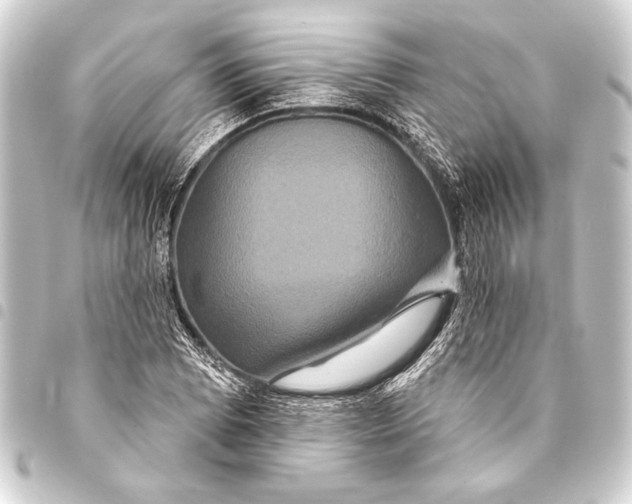 X0000093401073200711020931