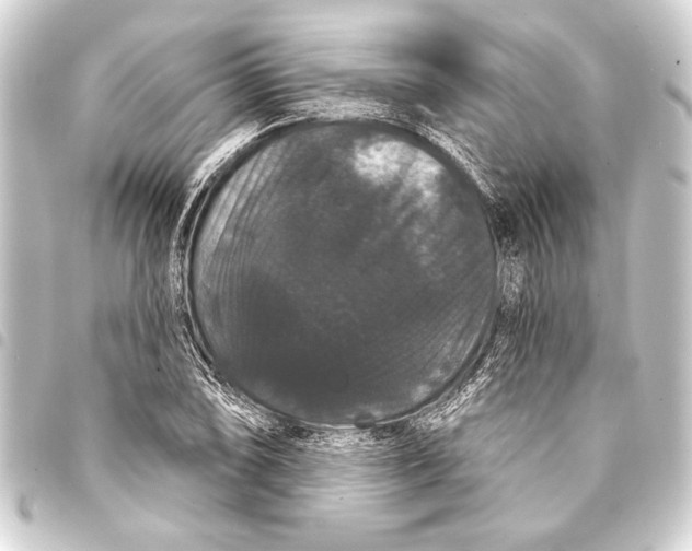 X0000093401074200711020931