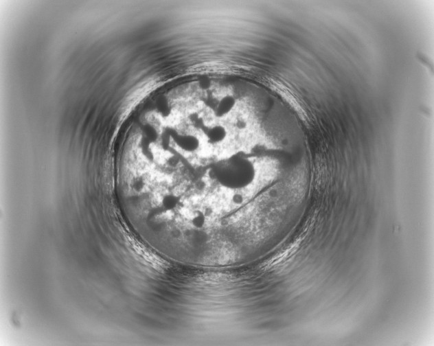 X0000093401075200711020931