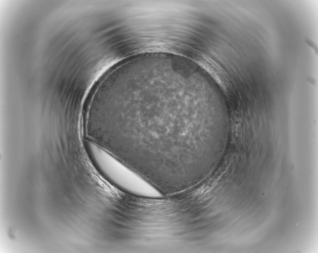 X0000093401076200711020931