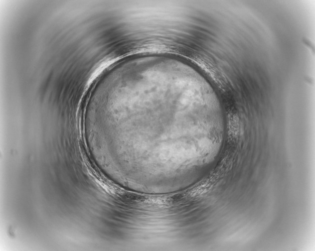 X0000093401078200711020931