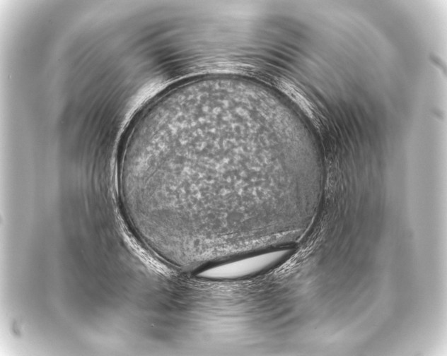 X0000093401080200711020931