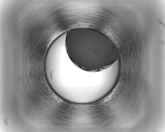 X0000093401081200711020931