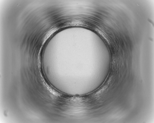 X0000093401082200711020931