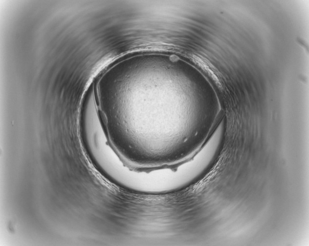 X0000093401085200711020931