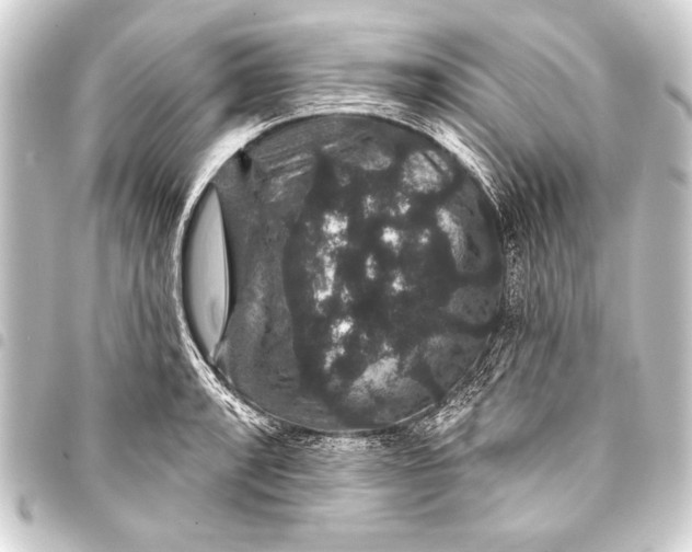 X0000093401088200711020930