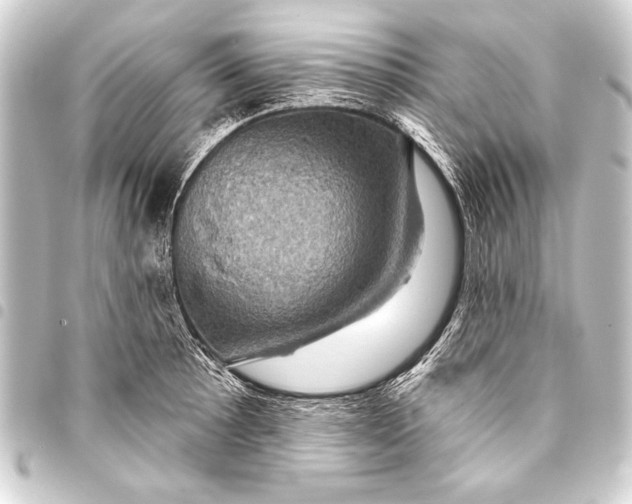 X0000093401089200711020930