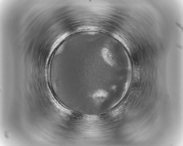 X0000093401090200711020930