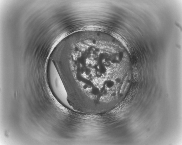 X0000093401091200711020930