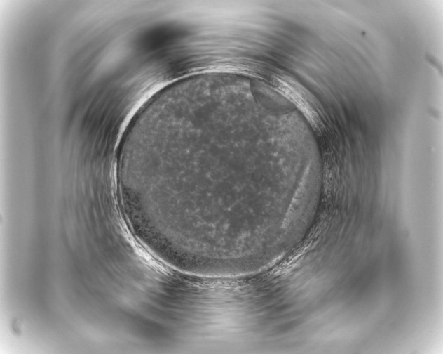 X0000093401092200711020930