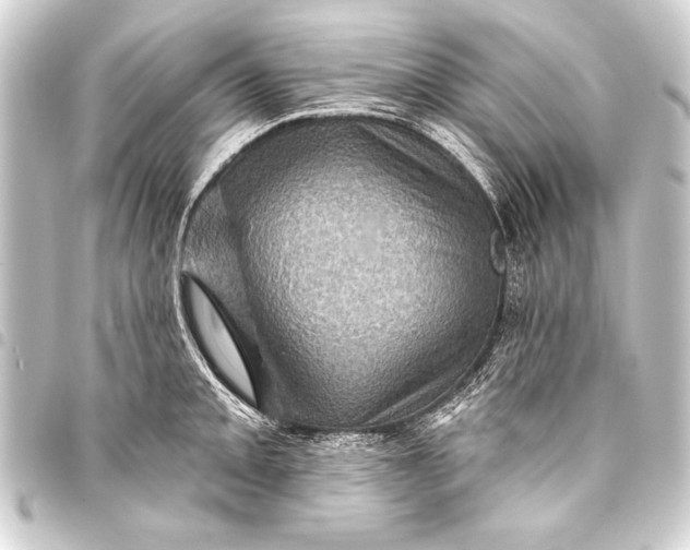 X0000093401093200711020930