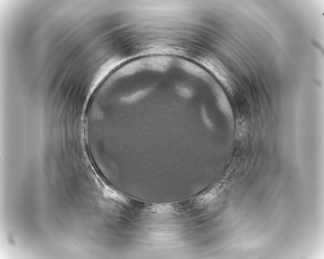 X0000093401094200711020930