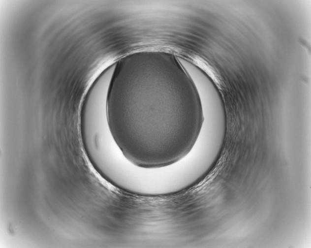 X0000093401095200711020930