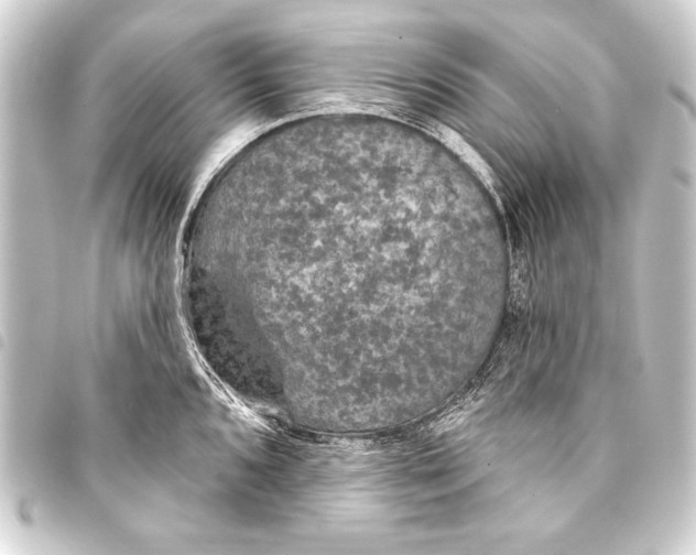 X0000093401096200711020930