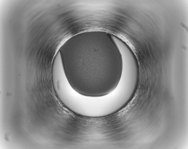 X0000093401097200711020930