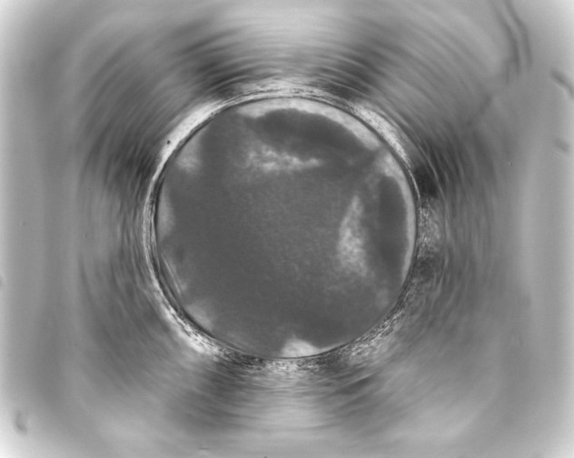 X0000093401098200711020930