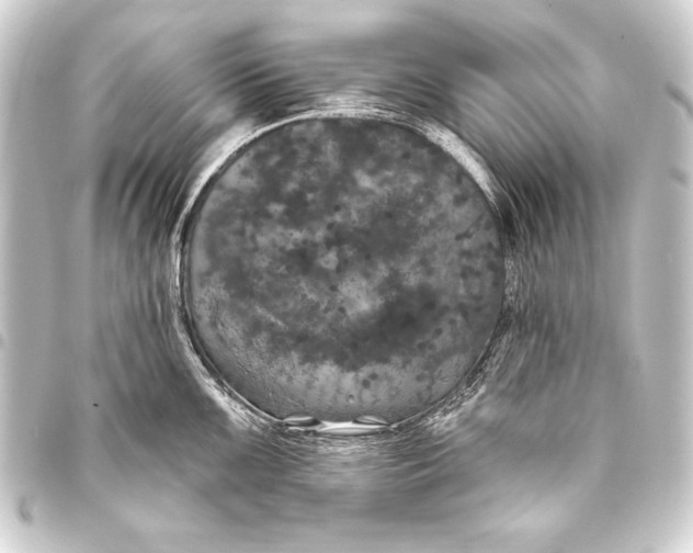 X0000093401099200711020930